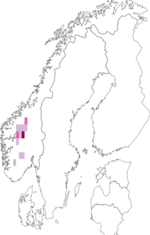 Fyndkarta för svartbrun blåslav. Datakälla: GBIF