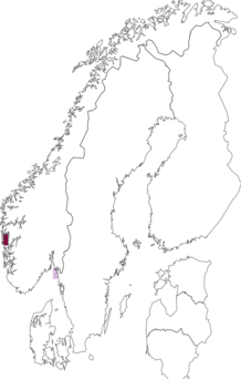 Fyndkarta för Montacuta voeringi. Datakälla: GBIF
