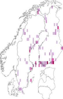 Fyndkarta för Scathophaga suilla. Datakälla: GBIF
