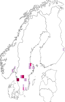 Fyndkarta för svartoxe. Datakälla: GBIF