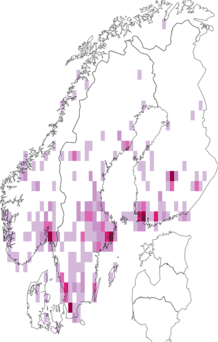 Fyndkarta för Lygus. Datakälla: GBIF