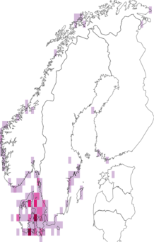 Fyndkarta för Rhodomelaceae. Datakälla: GBIF