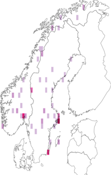 Fyndkarta för dvärgäggsvamp. Datakälla: GBIF
