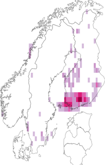 Fyndkarta för grå björkdvärgmal. Datakälla: GBIF