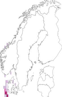 Fyndkarta för Bodotriidae. Datakälla: GBIF