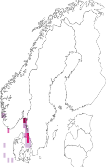 Fyndkarta för Ascidiella. Datakälla: GBIF