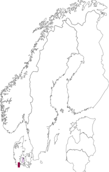 Fyndkarta för kronillhöfjäril. Datakälla: GBIF