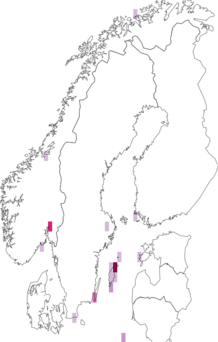 Fyndkarta för Diplotomma venustum. Datakälla: GBIF