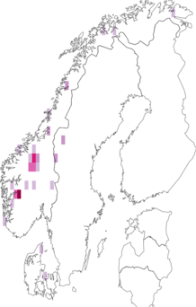 Kaarta Galerina pseudomycenopsis. Data source: GBIF