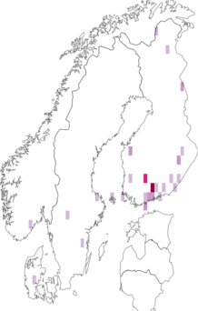 Fyndkarta för svart granborrvecklare. Datakälla: GBIF