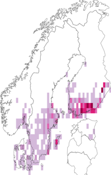 Fyndkarta för vitribbat fältfly. Datakälla: GBIF