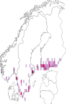 Fyndkarta för skogsekshöstmal. Datakälla: GBIF