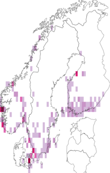 Fyndkarta för vitbrokig rosenhöstvecklare. Datakälla: GBIF