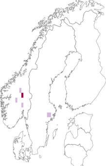 Fyndkarta för Nais alpina. Datakälla: GBIF