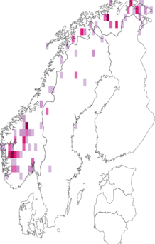 Fyndkarta för Cladonia stricta. Datakälla: GBIF