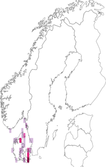 Kaarta Porphyra leucosticta. Data source: GBIF