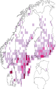 Fyndkarta för midsommarblåvinge. Datakälla: GBIF