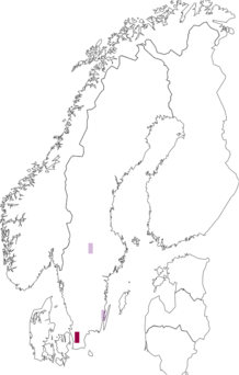 Fyndkarta för Odontella lamellifer. Datakälla: GBIF