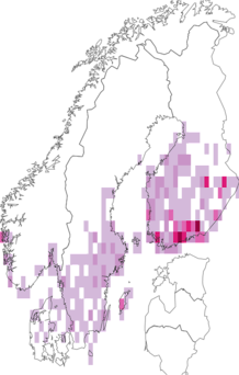 Fyndkarta för vitgördlad lavmätare. Datakälla: GBIF