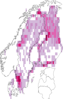 Levikukaart: rootsi kukits. Andmete allikas: GBIF