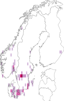 Kaarta Morchella esculenta. Data source: GBIF