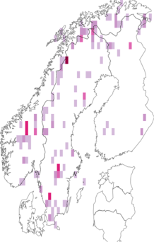 Levikukaart: Miscodera arctica. Andmete allikas: GBIF