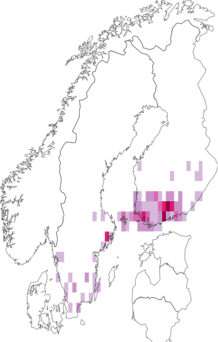 Fyndkarta för skogslönnsguldmal. Datakälla: GBIF