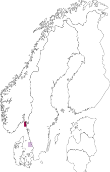 Fyndkarta för Gonothyraea hyalina. Datakälla: GBIF
