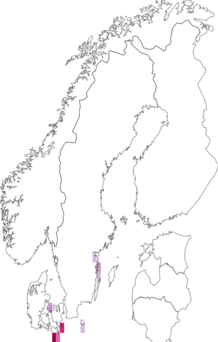Fyndkarta för kungsljuskapuschongfly. Datakälla: GBIF