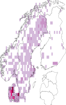 Fyndkarta för kärrpraktmossa. Datakälla: GBIF