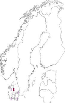 Fyndkarta för Agriotes acuminatus. Datakälla: GBIF