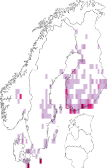 Fyndkarta för nordiskt kärrängsfly. Datakälla: GBIF