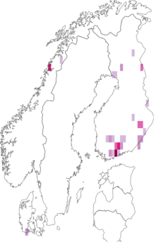 Fyndkarta för vinbärsbladskärare. Datakälla: GBIF