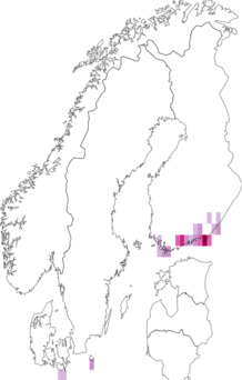 Fyndkarta för hermelingaffelsvans. Datakälla: GBIF