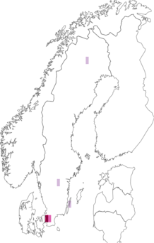 Levikukaart: Pyrenula coryli. Andmete allikas: GBIF