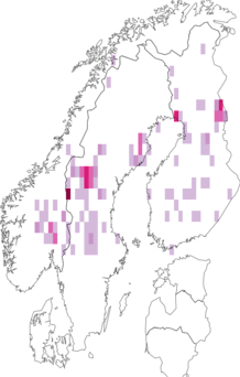 Fyndkarta för violett guldvinge. Datakälla: GBIF