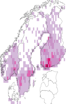 Fyndkarta för norsk fingerört. Datakälla: GBIF