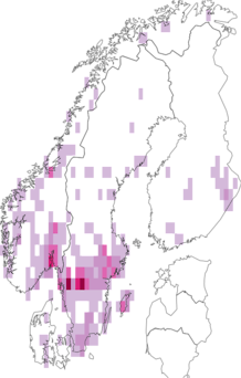 Fyndkarta för pudrad trattskivling. Datakälla: GBIF