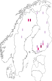 Kaarta Apatania auricula. Data source: GBIF