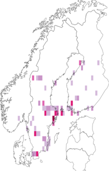 Fyndkarta för brokig örtblomfluga. Datakälla: GBIF