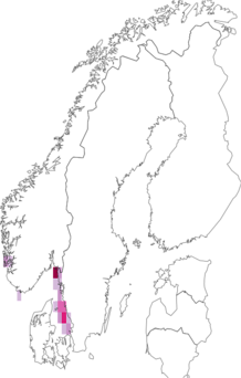 Kaarta Pagurus cuanensis. Data source: GBIF