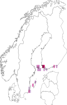 Fyndkarta för kilstreckad klintsäckmal. Datakälla: GBIF