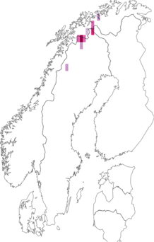 Fyndkarta för dvärgpärlemorfjäril. Datakälla: GBIF
