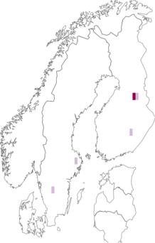 Fyndkarta för Euphranta toxoneura. Datakälla: GBIF