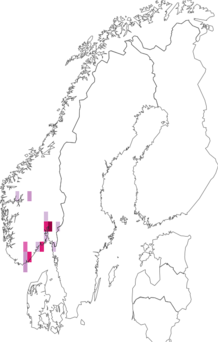 Fyndkarta för slemmig rosenbladstekel. Datakälla: GBIF