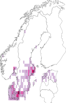 Fyndkarta för vinbergssnäcka. Datakälla: GBIF