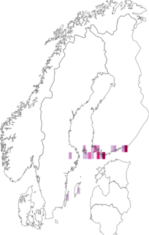 Kaarta Coleophora hackmani. Data source: GBIF