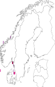 Fyndkarta för rovmaskmollusker. Datakälla: GBIF