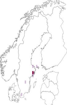 Fyndkarta för skogslönnsdvärgmal. Datakälla: GBIF