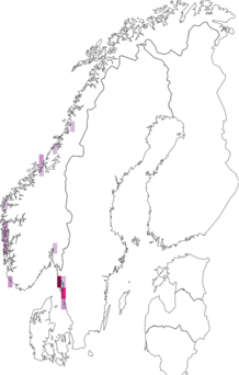 Fyndkarta för Fuscidea lygaea. Datakälla: GBIF